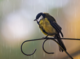 北京大雨持续，交通瘫痪！