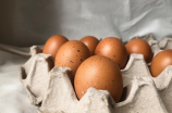 【最新鸡蛋价格】【今日价】：金秋十月，鸡蛋价格继续上涨