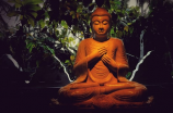 佛教起源于哪里，莲花三昧的起源传说